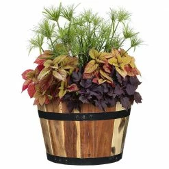 Classic Home & Garden Acacia Wood Barrel Planters (Set of 3) 8 Classic Home & Garden Acacia Wood Barrel Planters (Set of 3) -Cheap Good Directions Store acacia classic home garden plant pots 5 800 3 4f 1000