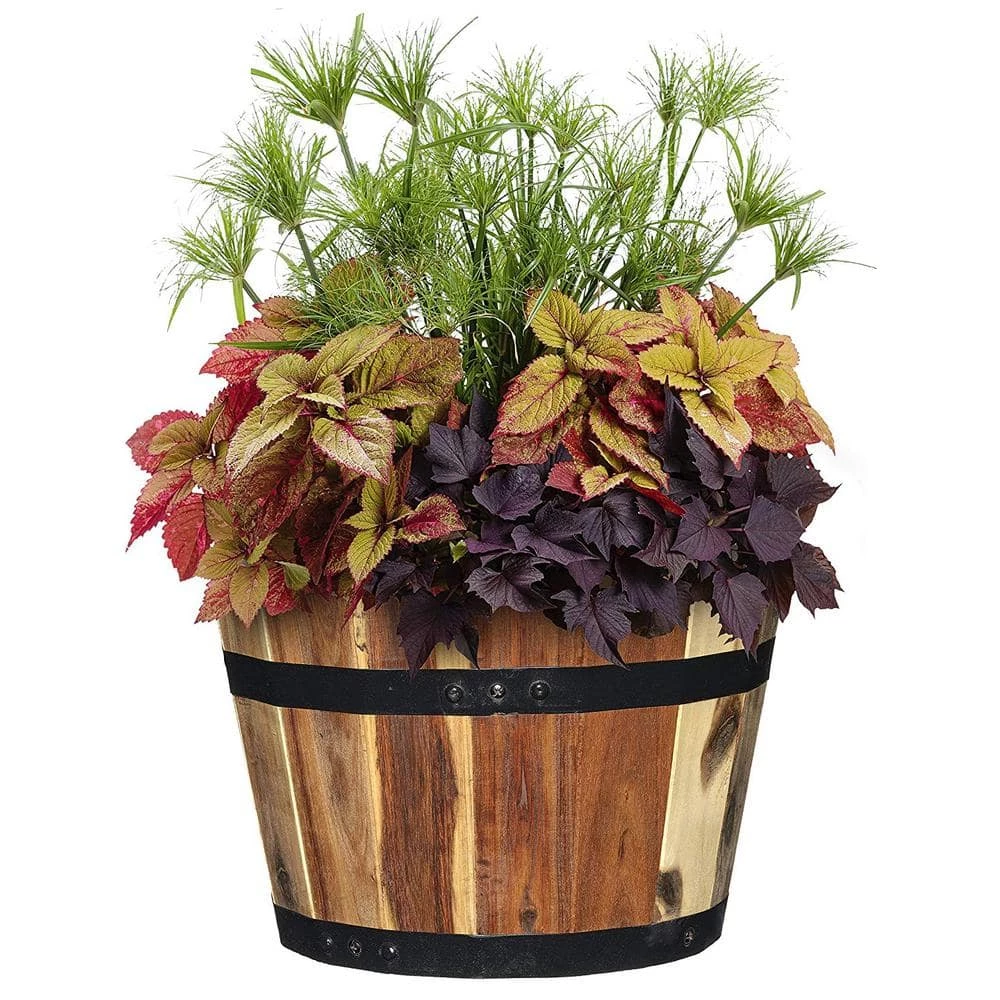 Classic Home & Garden Acacia Wood Barrel Planters (Set of 3) 5 Classic Home & Garden Acacia Wood Barrel Planters (Set of 3) - Image 3
