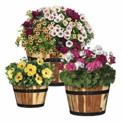 Classic Home & Garden Acacia Wood Barrel Planters (Set of 3)