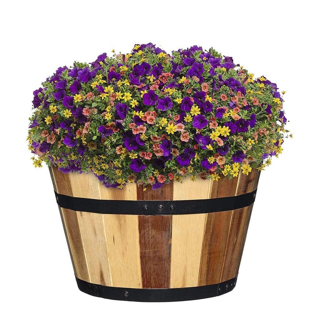 Classic Home & Garden Acacia Wood Barrel Planters (Set of 3) 4 Classic Home & Garden Acacia Wood Barrel Planters (Set of 3) - Image 2