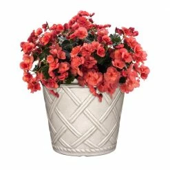 Classic Home & Garden Bingham 10 in. Alabaster Wash Resin Planter Fits 10 in. Drop-N-Decorate Plant -Cheap Good Directions Store alabaster wash classic home garden plant pots hd1400 361r 1f 1000