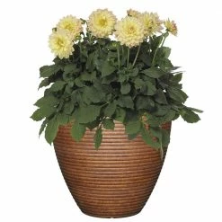 Classic Home & Garden 13 in. Burnished Cali Resin Planter 8 Classic Home & Garden 13 in. Burnished Cali Resin Planter -Cheap Good Directions Store burnished classic home garden plant pots 4783 189r 4f 1000