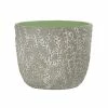 Classic Home & Garden Flora 6 in. Vine Gray Cement Planter with Green Interior
