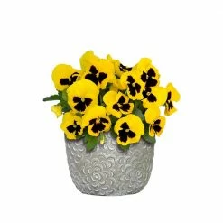 Classic Home & Garden Flora 6 in. Rose Gray Cement Planter with White Interior -Cheap Good Directions Store cement classic home garden plant pots 31012 089 4f 1000