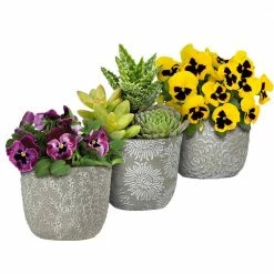 Classic Home & Garden Flora 6 in. Rose Gray Cement Planter with White Interior -Cheap Good Directions Store cement classic home garden plant pots 31012 089 76 1000