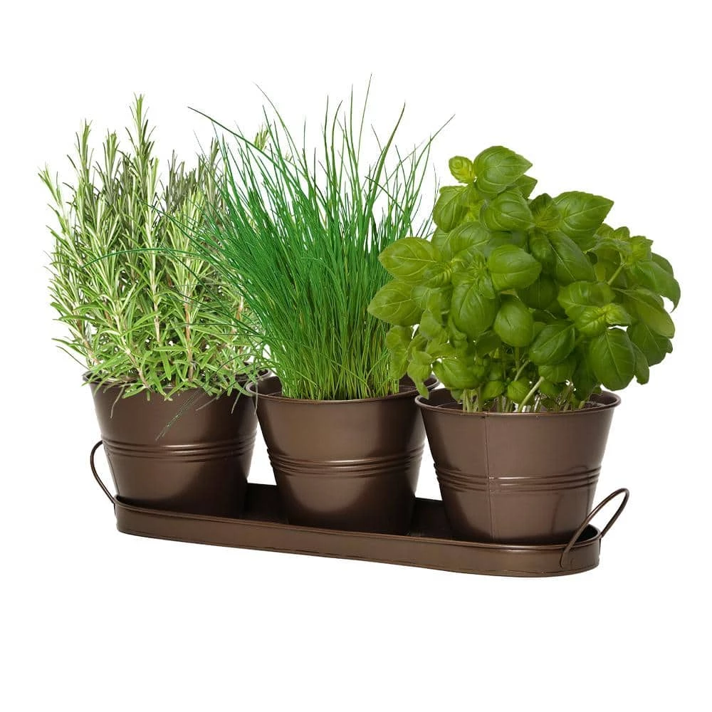 Classic Home & Garden Herb Trio with Tray Copper Tin Planter 4 Classic Home & Garden Herb Trio with Tray Copper Tin Planter - Image 2