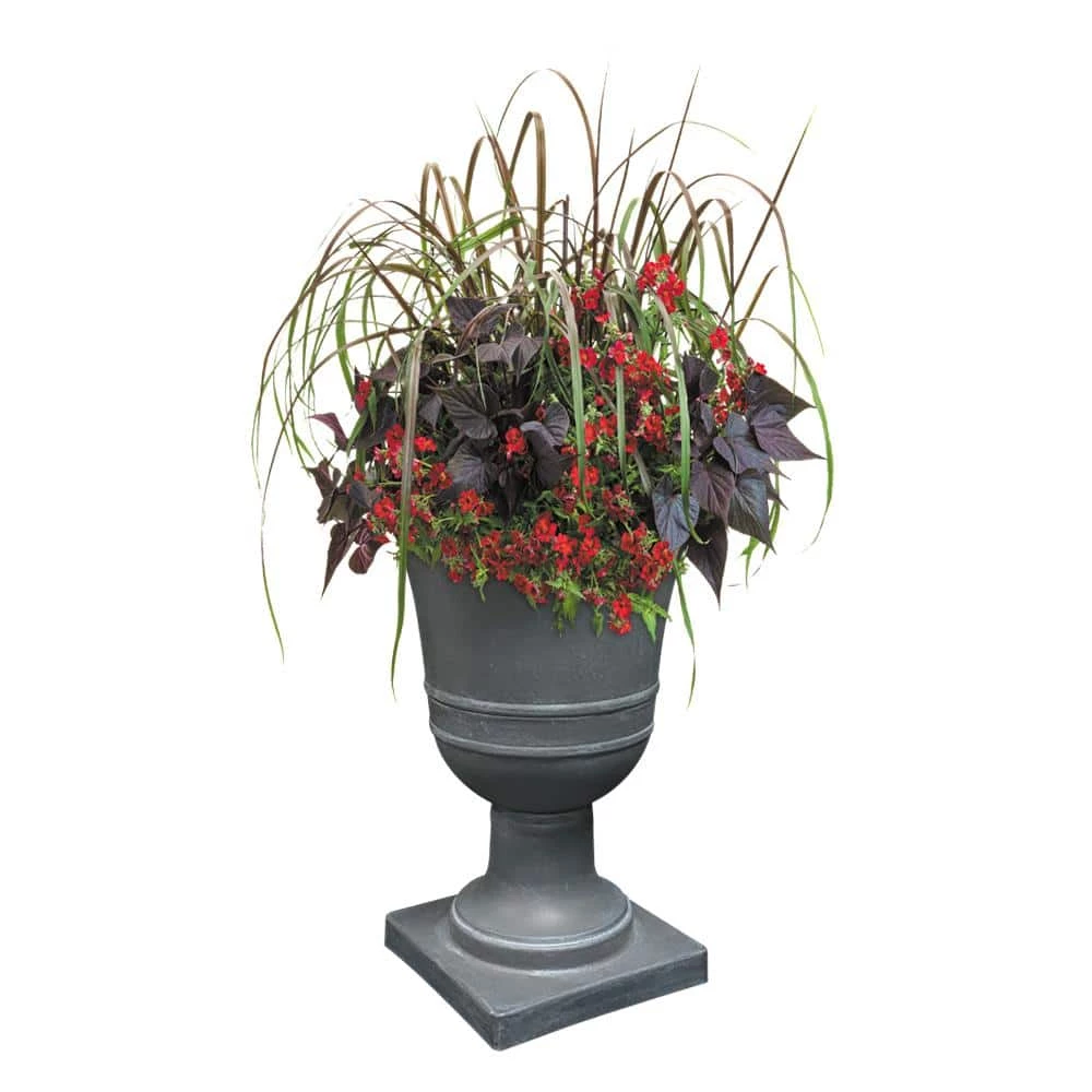 Classic Home & Garden 16 in. Norwich Dark Grey Resin Urn Planter 4 Classic Home & Garden 16 in. Norwich Dark Grey Resin Urn Planter - Image 2