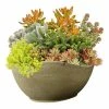 Classic Home & Garden 12.5 in. Desert Resin Arc Planter
