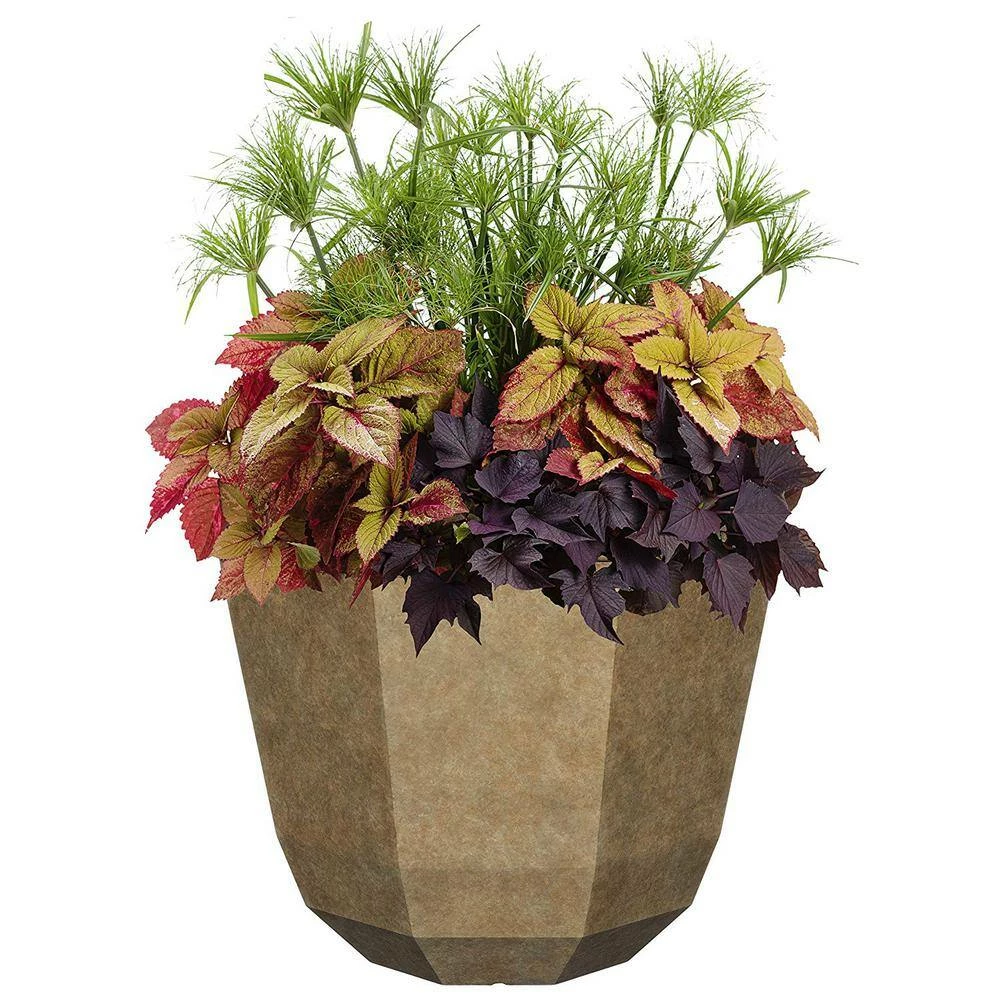 Classic Home & Garden 15 in. Earth Shaina Resin Planter 5 Classic Home & Garden 15 in. Earth Shaina Resin Planter - Image 3