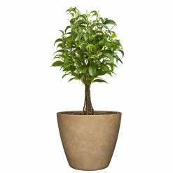 Classic Home & Garden Vogue 8 in. Earth Resin Planter 8 Classic Home & Garden Vogue 8 in. Earth Resin Planter -Cheap Good Directions Store earth classic home garden plant pots 807 188t 4f 1000