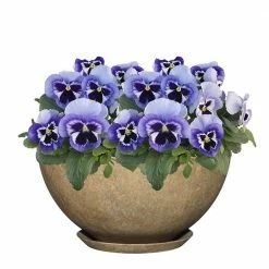 Classic Home & Garden 10 in. Earth Rosie Bowl Resin Planter -Cheap Good Directions Store earth classic home garden plant pots 9010d 188t 4f 1000