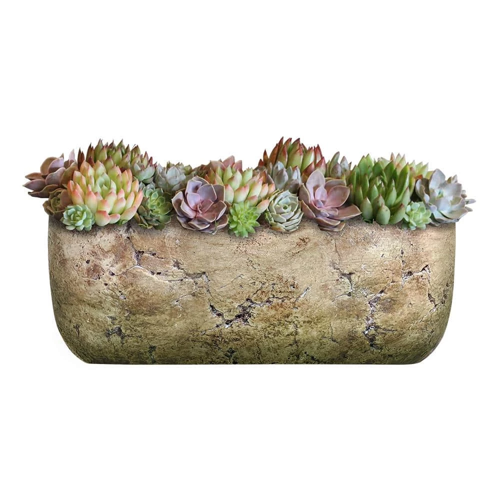 Classic Home & Garden 8 in. Earth Moss Cement Dakota Trough Planter 4 Classic Home & Garden 8 in. Earth Moss Cement Dakota Trough Planter - Image 2