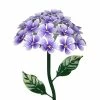 Exhart Solar Hydrangea 1.77 ft. Purple Metal Garden Stake 2 Exhart Solar Hydrangea 1.77 ft. Purple Metal Garden Stake -Cheap Good Directions Store exhart decorative garden stakes 14181 rs 64 1000