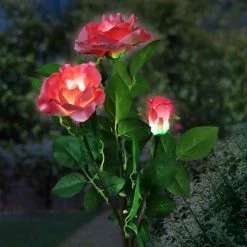 Exhart Solar Rose Bunch 2.69 ft. Pink Plastic Garden Stake 19 Exhart Solar Rose Bunch 2.69 ft. Pink Plastic Garden Stake -Cheap Good Directions Store exhart decorative garden stakes 19588 rs 31 1000