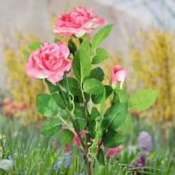 Exhart Solar Rose Bunch 2.69 ft. Pink Plastic Garden Stake 13 Exhart Solar Rose Bunch 2.69 ft. Pink Plastic Garden Stake -Cheap Good Directions Store exhart decorative garden stakes 19588 rs c3 1000