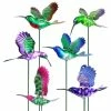 Exhart WindyWings Hummingbird Assortment 1.28 ft. Multi-Color Plastic Plant Stakes (6-Pack) 2 Exhart WindyWings Hummingbird Assortment 1.28 ft. Multi-Color Plastic Plant Stakes (6-Pack) -Cheap Good Directions Store exhart decorative garden stakes 50109 rs 64 1000