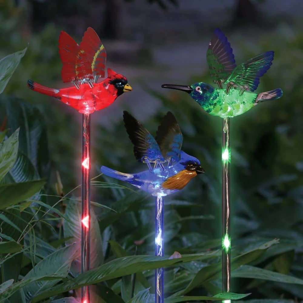 Exhart Solar WindyWing Cardinal, Hummingbird and Blue Bird with LED Lights 2.28 ft. Multicolor Plastic Garden Stakes (3-Pack) 7 Exhart Solar WindyWing Cardinal, Hummingbird and Blue Bird with LED Lights 2.28 ft. Multicolor Plastic Garden Stakes (3-Pack) - Image 5