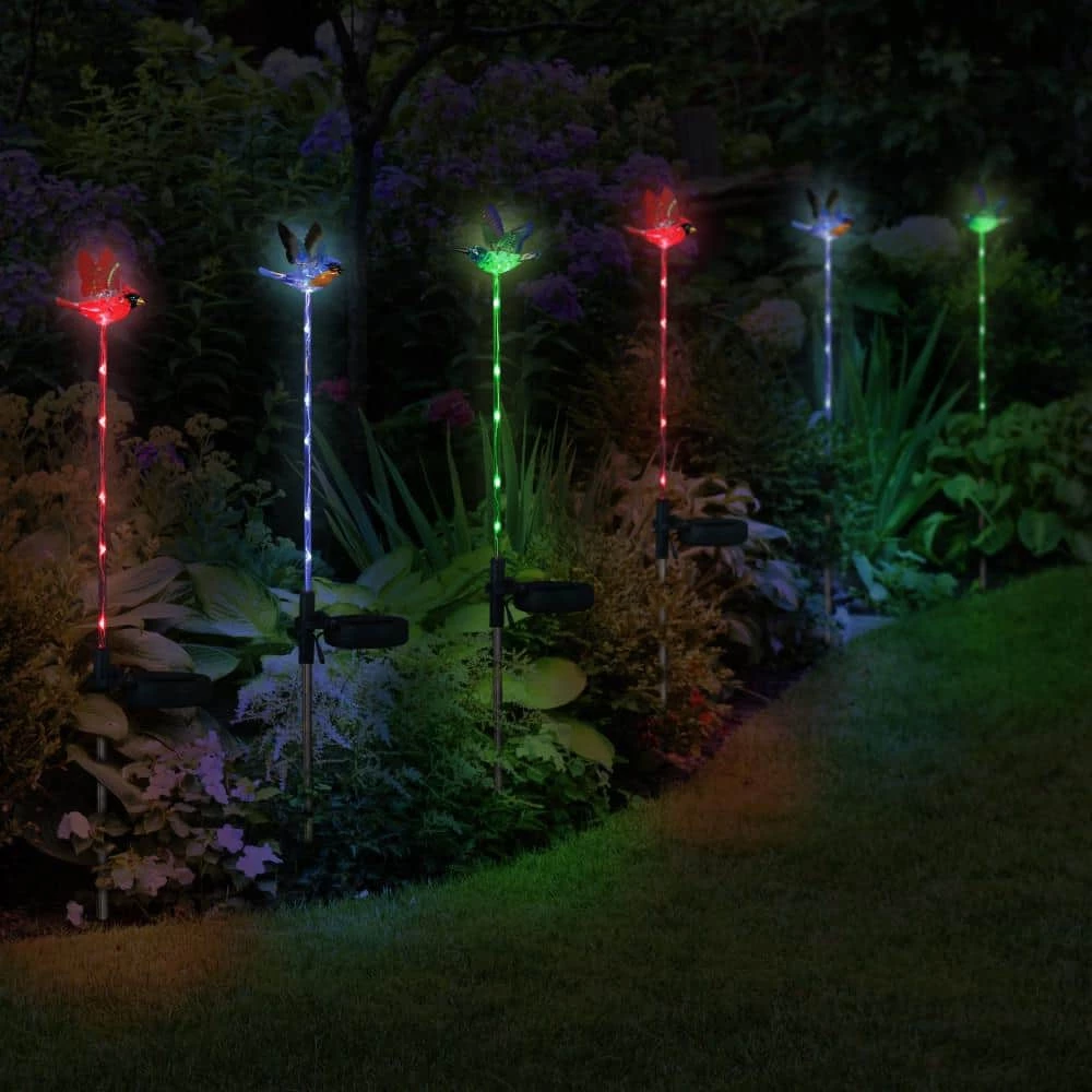 Exhart Solar WindyWing Cardinal, Hummingbird and Blue Bird with LED Lights 2.28 ft. Multicolor Plastic Garden Stakes (3-Pack) 5 Exhart Solar WindyWing Cardinal, Hummingbird and Blue Bird with LED Lights 2.28 ft. Multicolor Plastic Garden Stakes (3-Pack) - Image 3