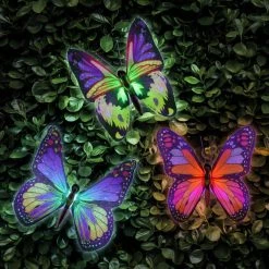 Exhart 2.5 ft. Solar Fiber Optic Butterfly with LED Multi-Color Plastic Garden Stakes (3-Pack) -Cheap Good Directions Store exhart decorative garden stakes 55167 rs a0 1000