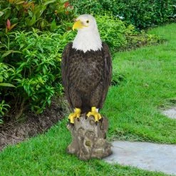 Exhart Bald Eagle on a Rock, 8 in. x 21.5 in. Garden Statue 19 Exhart Bald Eagle on a Rock, 8 in. x 21.5 in. Garden Statue -Cheap Good Directions Store exhart garden statues 72617 rs 31 1000