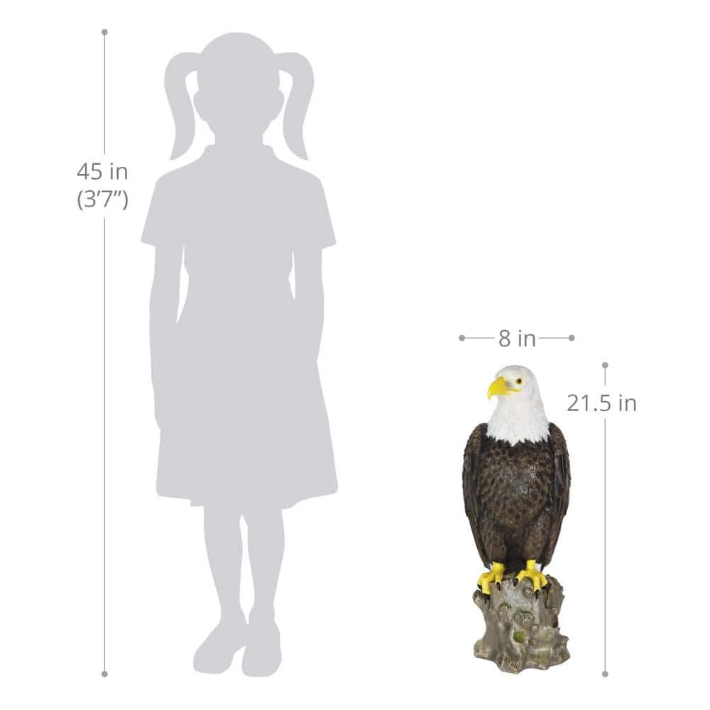 Exhart Bald Eagle on a Rock, 8 in. x 21.5 in. Garden Statue 8 Exhart Bald Eagle on a Rock, 8 in. x 21.5 in. Garden Statue - Image 6