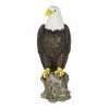 Exhart Bald Eagle on a Rock, 8 in. x 21.5 in. Garden Statue 1 Exhart Bald Eagle on a Rock, 8 in. x 21.5 in. Garden Statue -Cheap Good Directions Store exhart garden statues 72617 rs 64 1000
