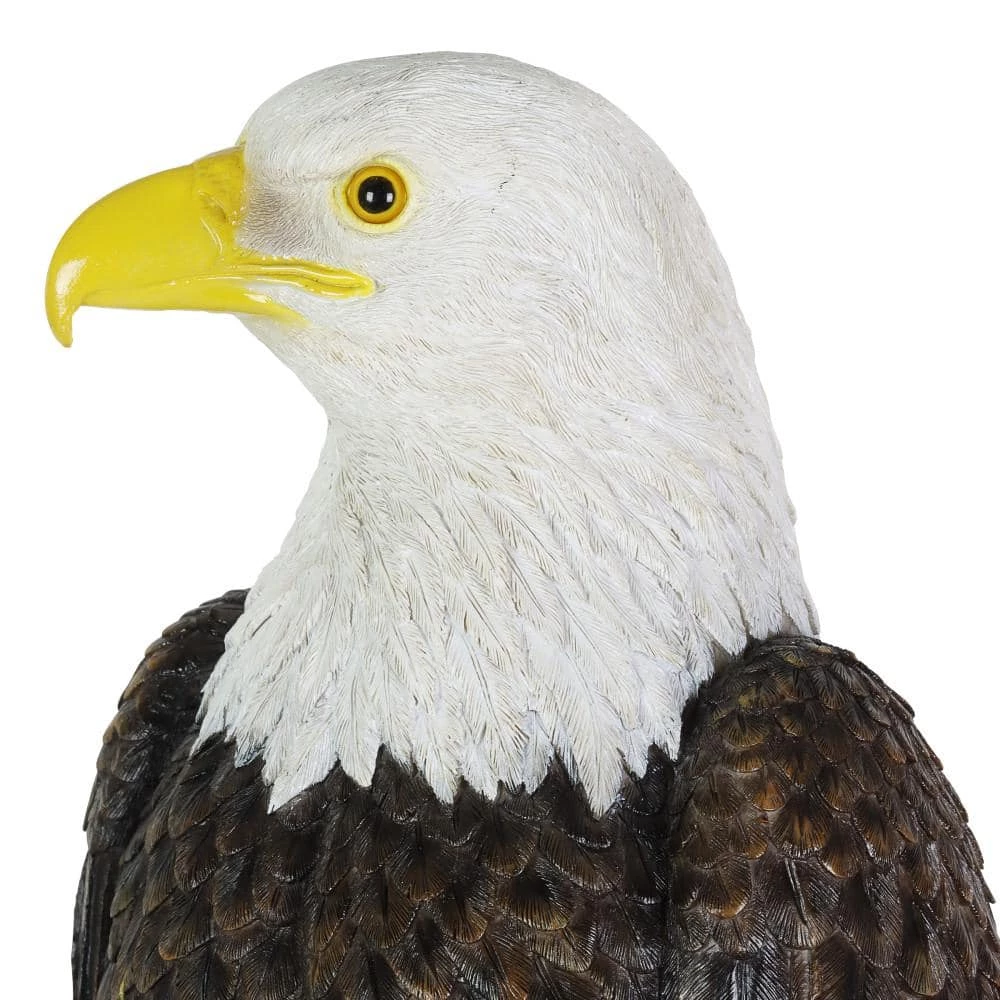 Exhart Bald Eagle on a Rock, 8 in. x 21.5 in. Garden Statue 5 Exhart Bald Eagle on a Rock, 8 in. x 21.5 in. Garden Statue - Image 3