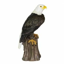 Exhart Bald Eagle on a Log, 10.5 in. x 19.5 in. Garden Statue 18 Exhart Bald Eagle on a Log, 10.5 in. x 19.5 in. Garden Statue -Cheap Good Directions Store exhart garden statues 72622 rs 76 1000