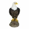 Exhart Bald Eagle on a Log, 7 in. x 15.5 in. Garden Statue 1 Exhart Bald Eagle on a Log, 7 in. x 15.5 in. Garden Statue -Cheap Good Directions Store exhart garden statues 72623 rs 64 1000