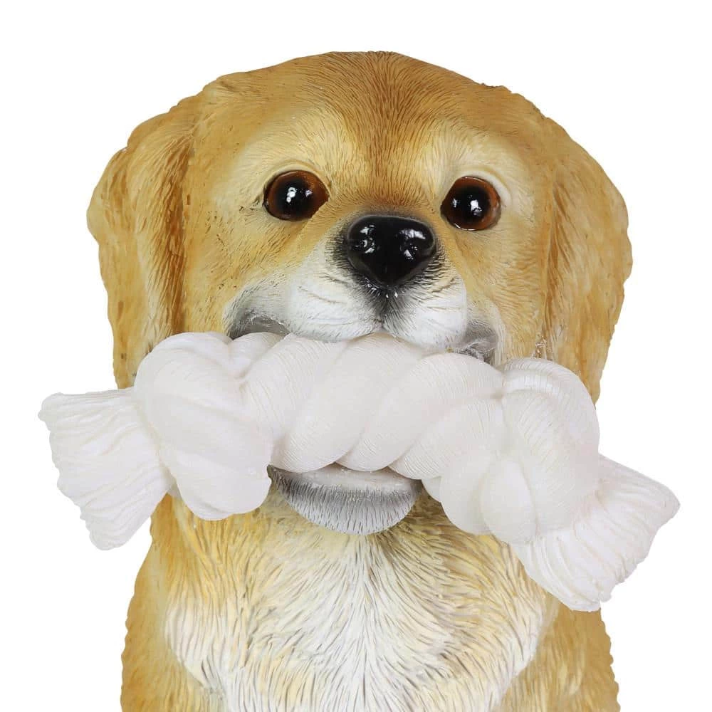 Exhart Solar Golden Retriever with LED Rope Toy 8 in. x 14 in. Garden Statue 5 Exhart Solar Golden Retriever with LED Rope Toy 8 in. x 14 in. Garden Statue - Image 3