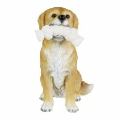 Exhart Solar Golden Retriever with LED Rope Toy 8 in. x 14 in. Garden Statue 15 Exhart Solar Golden Retriever with LED Rope Toy 8 in. x 14 in. Garden Statue -Cheap Good Directions Store exhart garden statues 72674 rs fa 1000