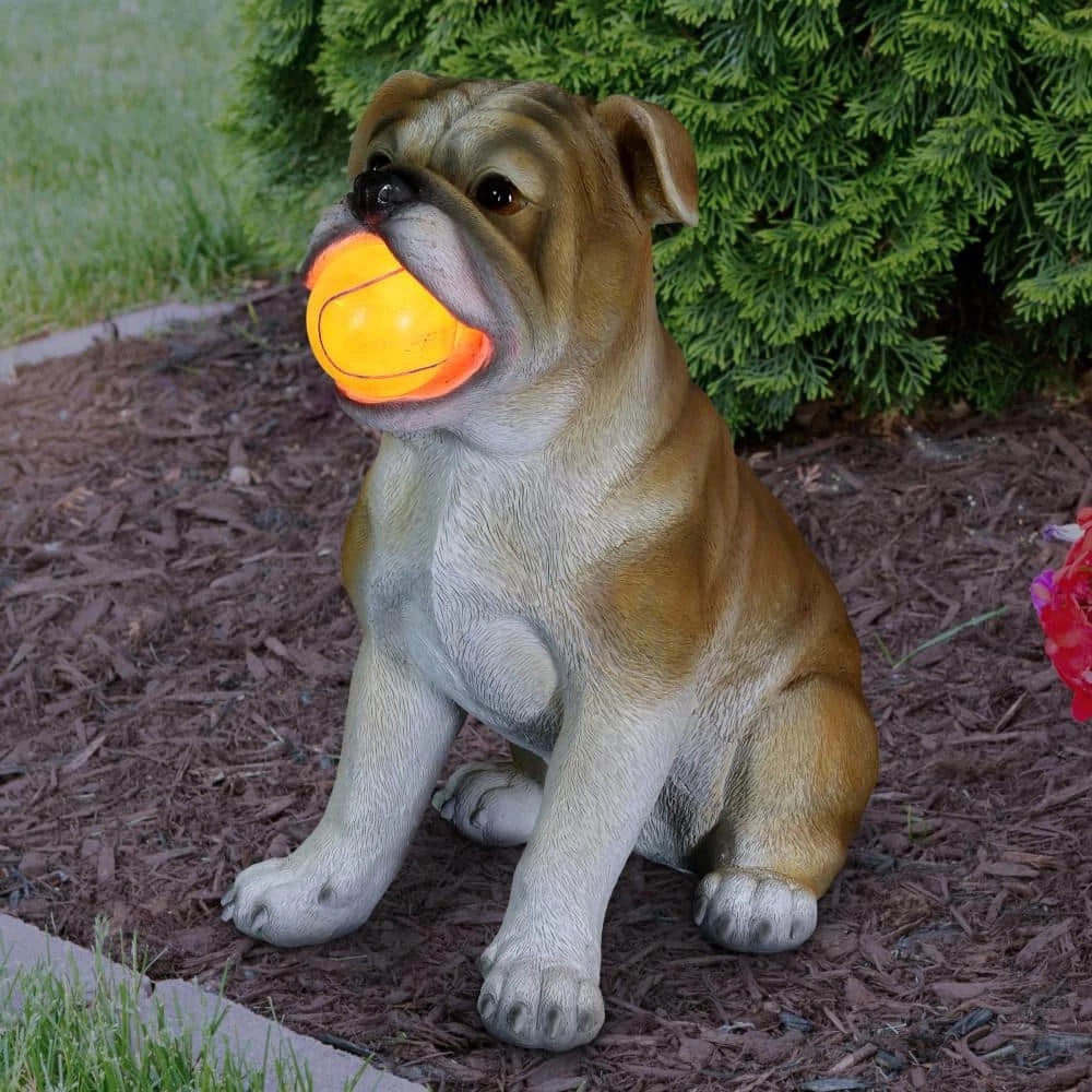 Exhart Solar Bulldog with LED Red Ball, 13 in. tall Garden Statue 11 Exhart Solar Bulldog with LED Red Ball, 13 in. tall Garden Statue - Image 9