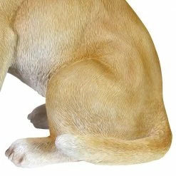 Exhart Solar Labrador Retriever Dog with LED Frisbee, 14 in. tall Garden Statue 16 Exhart Solar Labrador Retriever Dog with LED Frisbee, 14 in. tall Garden Statue -Cheap Good Directions Store exhart garden statues 72677 rs 44 1000