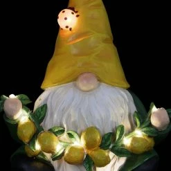 Exhart Solar LED Ladybug and Lemon Garland, 7.5 in. x 9.5 in. Gnome Garden Statue 18 Exhart Solar LED Ladybug and Lemon Garland, 7.5 in. x 9.5 in. Gnome Garden Statue -Cheap Good Directions Store exhart garden statues 72877 rs 76 1000