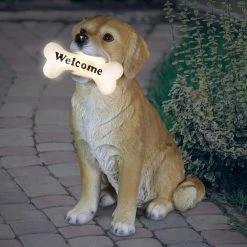 Exhart Solar Labrador Retriever Dog with LED Welcome Bone, 13 in. tall Garden Statue 19 Exhart Solar Labrador Retriever Dog with LED Welcome Bone, 13 in. tall Garden Statue -Cheap Good Directions Store exhart garden statues 73801 rs 31 1000