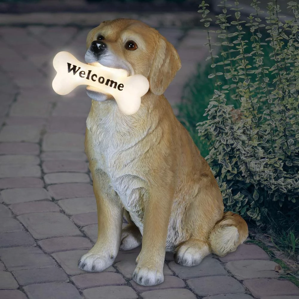 Exhart Solar Labrador Retriever Dog with LED Welcome Bone, 13 in. tall Garden Statue 11 Exhart Solar Labrador Retriever Dog with LED Welcome Bone, 13 in. tall Garden Statue - Image 9