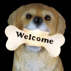 Exhart Solar Labrador Retriever Dog with LED Welcome Bone, 13 in. tall Garden Statue 18 Exhart Solar Labrador Retriever Dog with LED Welcome Bone, 13 in. tall Garden Statue -Cheap Good Directions Store exhart garden statues 73801 rs 76 1000