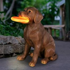 Exhart Solar Chocolate Labrador Retriever Dog with LED Frisbee, 14 in. tall Garden Statue 19 Exhart Solar Chocolate Labrador Retriever Dog with LED Frisbee, 14 in. tall Garden Statue -Cheap Good Directions Store exhart garden statues 74086 rs 31 1000