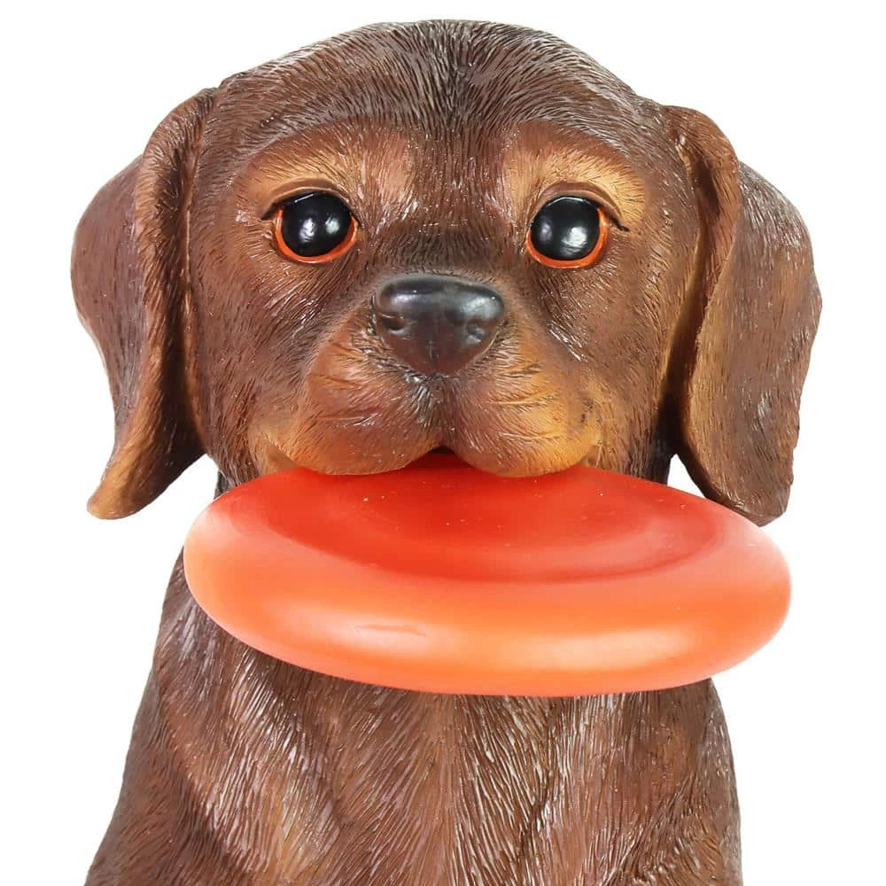 Exhart Solar Chocolate Labrador Retriever Dog with LED Frisbee, 14 in. tall Garden Statue 6 Exhart Solar Chocolate Labrador Retriever Dog with LED Frisbee, 14 in. tall Garden Statue - Image 4