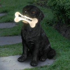 Exhart Solar Black Labrador Retriever Dog with LED Welcome Bone, 13 in. tall Garden Statue 19 Exhart Solar Black Labrador Retriever Dog with LED Welcome Bone, 13 in. tall Garden Statue -Cheap Good Directions Store exhart garden statues 74087 rs 31 1000