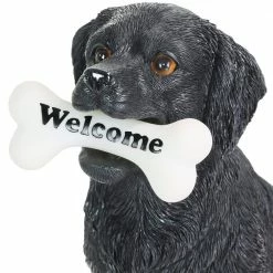 Exhart Solar Black Labrador Retriever Dog with LED Welcome Bone, 13 in. tall Garden Statue 14 Exhart Solar Black Labrador Retriever Dog with LED Welcome Bone, 13 in. tall Garden Statue -Cheap Good Directions Store exhart garden statues 74087 rs 4f 1000