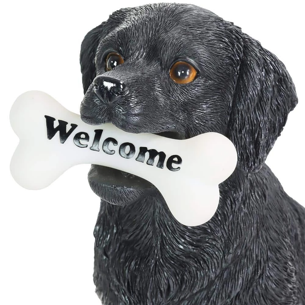 Exhart Solar Black Labrador Retriever Dog with LED Welcome Bone, 13 in. tall Garden Statue 6 Exhart Solar Black Labrador Retriever Dog with LED Welcome Bone, 13 in. tall Garden Statue - Image 4