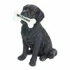 Exhart Solar Black Labrador Retriever Dog with LED Welcome Bone, 13 in. tall Garden Statue 2 Exhart Solar Black Labrador Retriever Dog with LED Welcome Bone, 13 in. tall Garden Statue -Cheap Good Directions Store exhart garden statues 74087 rs 64 1000