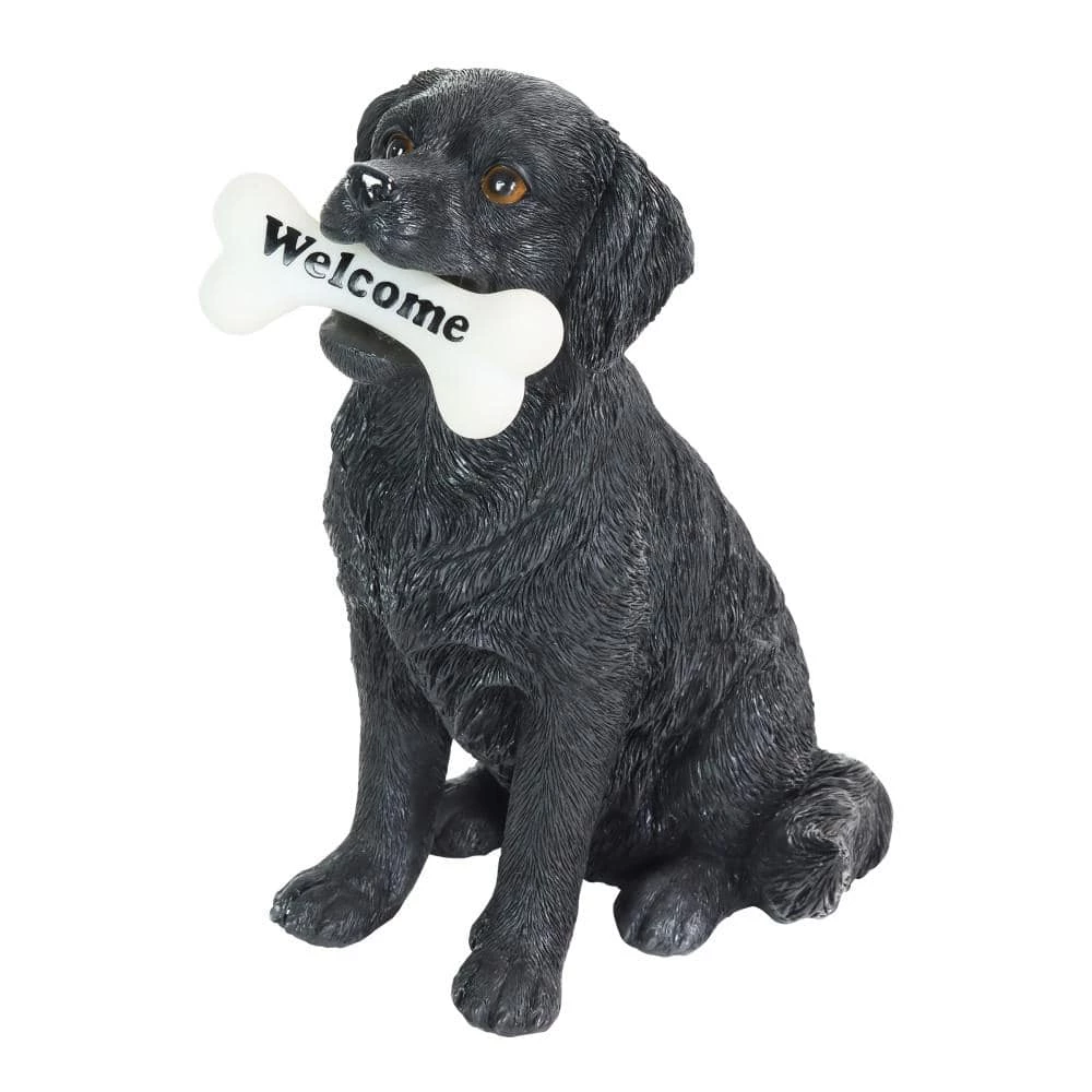 Exhart Solar Black Labrador Retriever Dog with LED Welcome Bone, 13 in. tall Garden Statue 3 Exhart Solar Black Labrador Retriever Dog with LED Welcome Bone, 13 in. tall Garden Statue