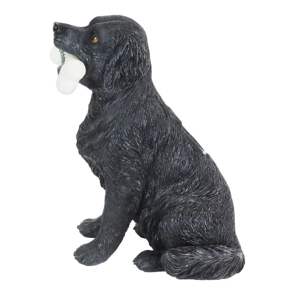Exhart Solar Black Labrador Retriever Dog with LED Welcome Bone, 13 in. tall Garden Statue 4 Exhart Solar Black Labrador Retriever Dog with LED Welcome Bone, 13 in. tall Garden Statue - Image 2