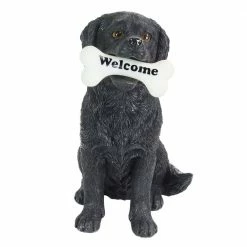 Exhart Solar Black Labrador Retriever Dog with LED Welcome Bone, 13 in. tall Garden Statue 17 Exhart Solar Black Labrador Retriever Dog with LED Welcome Bone, 13 in. tall Garden Statue -Cheap Good Directions Store exhart garden statues 74087 rs fa 1000
