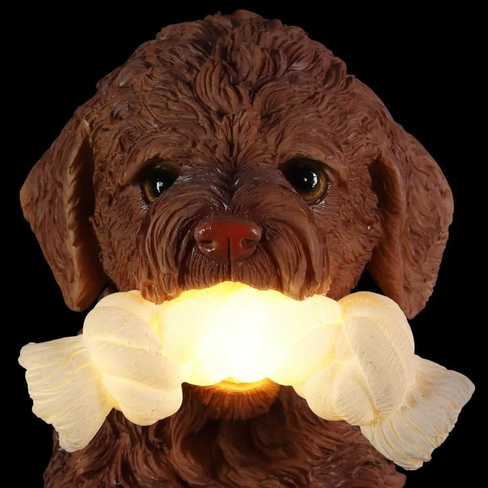 Exhart Solar Doodle Dog with LED Rope Toy, 13.5 in. tall Garden Statue 10 Exhart Solar Doodle Dog with LED Rope Toy, 13.5 in. tall Garden Statue - Image 8