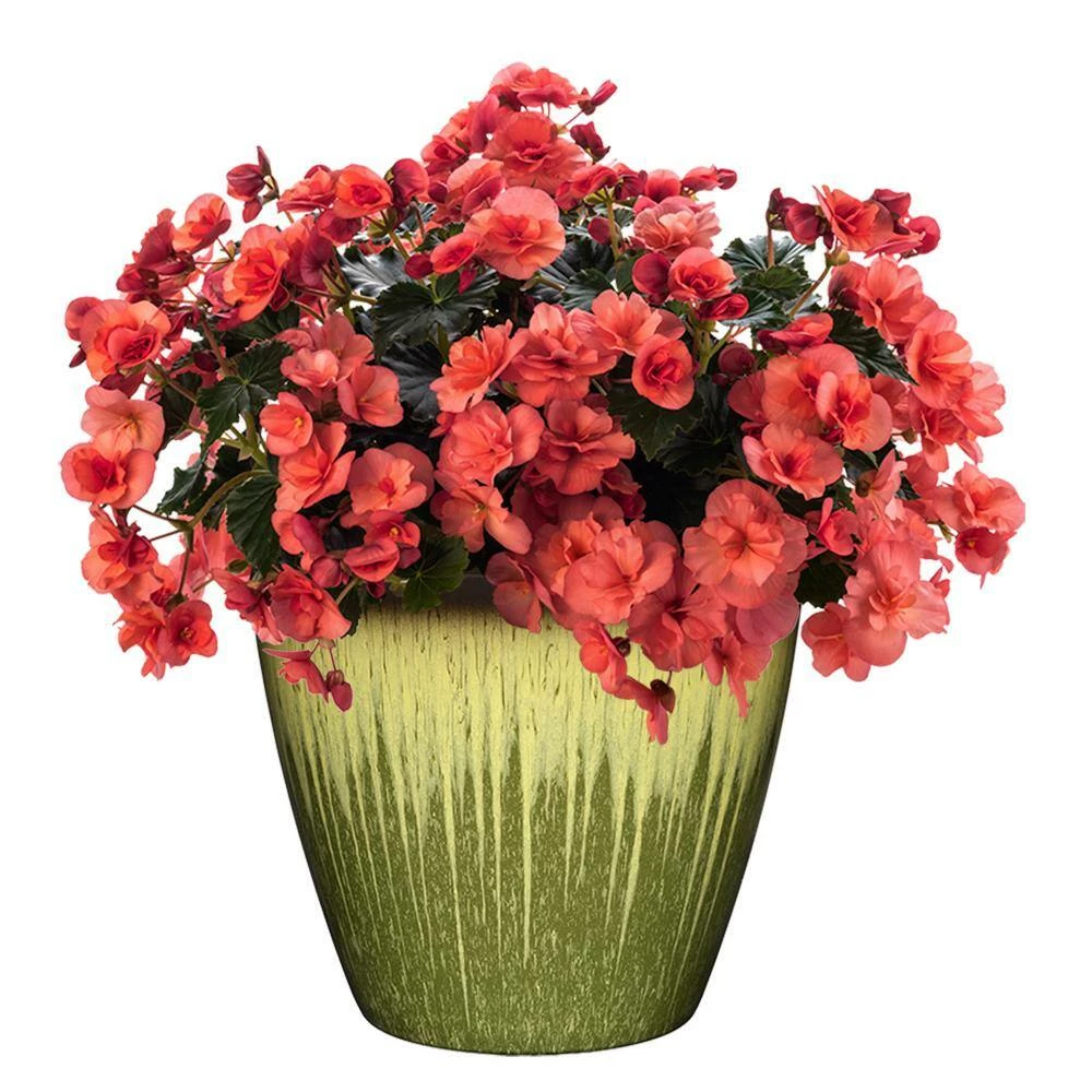 Classic Home & Garden Vogue 8 in. Willow Green Resin Planter 4 Classic Home & Garden Vogue 8 in. Willow Green Resin Planter - Image 2