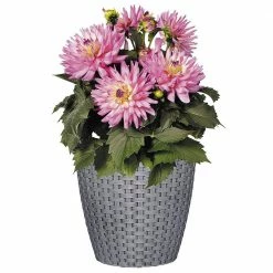 Classic Home & Garden Nantucket Resin Planter 8 in. Harbor Gray 8 Classic Home & Garden Nantucket Resin Planter 8 in. Harbor Gray -Cheap Good Directions Store harbor gray classic home garden plant pots 34208d 409r 4f 1000