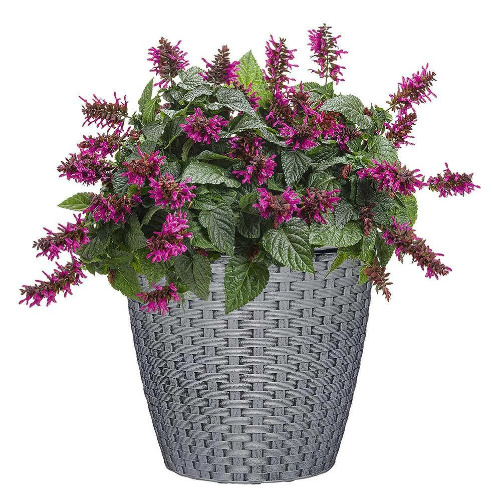 Classic Home & Garden Nantucket Resin Planter 8 in. Harbor Gray 4 Classic Home & Garden Nantucket Resin Planter 8 in. Harbor Gray - Image 2